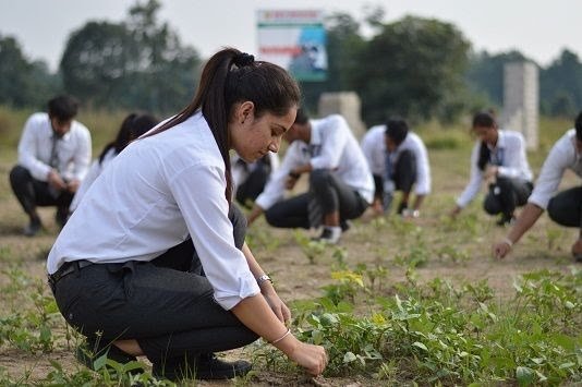 Campus Farm